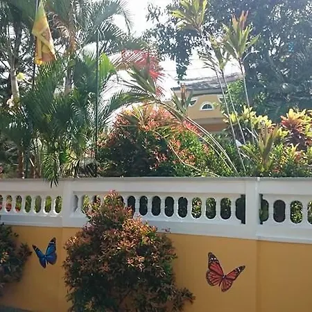 Villa Butterfly-3